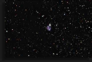 The Fetus Nebula